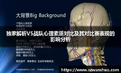 jn体育官方入口